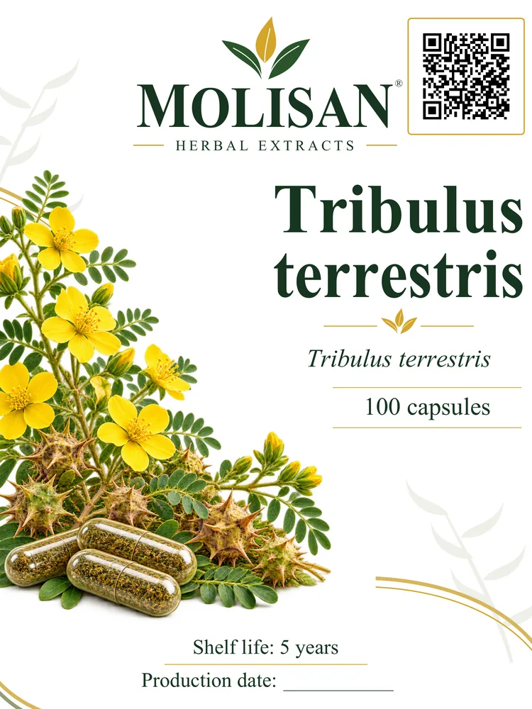 ტრიბულუს ტერესტრისი