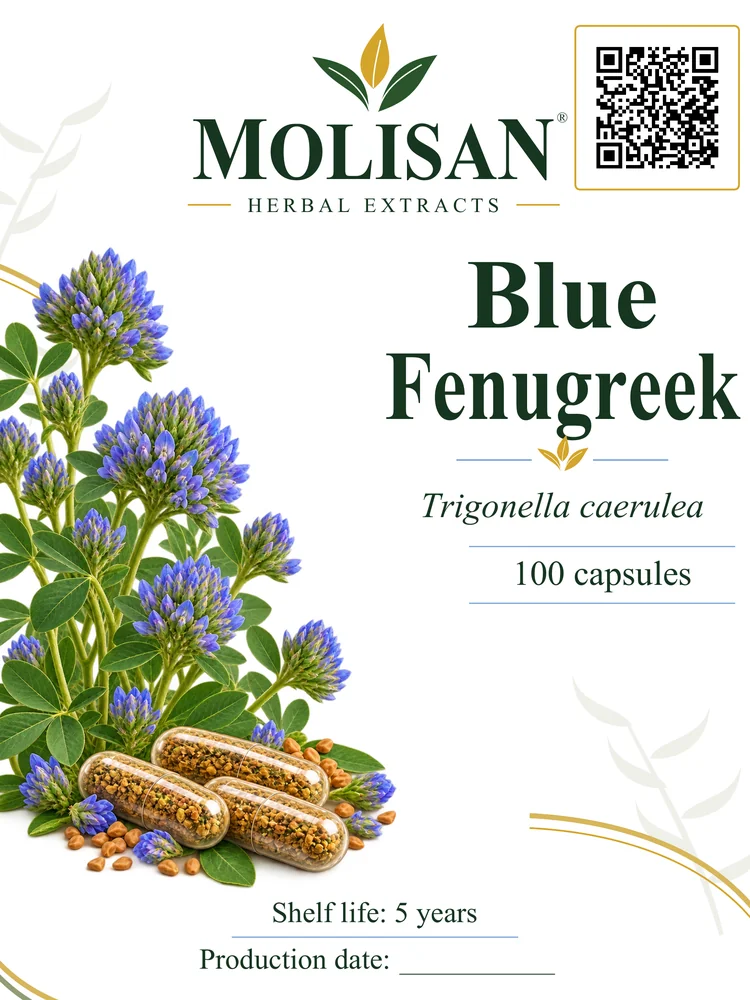 ტრიგონელა — ლურჯი ცერეცო (Trigonella caerulea)