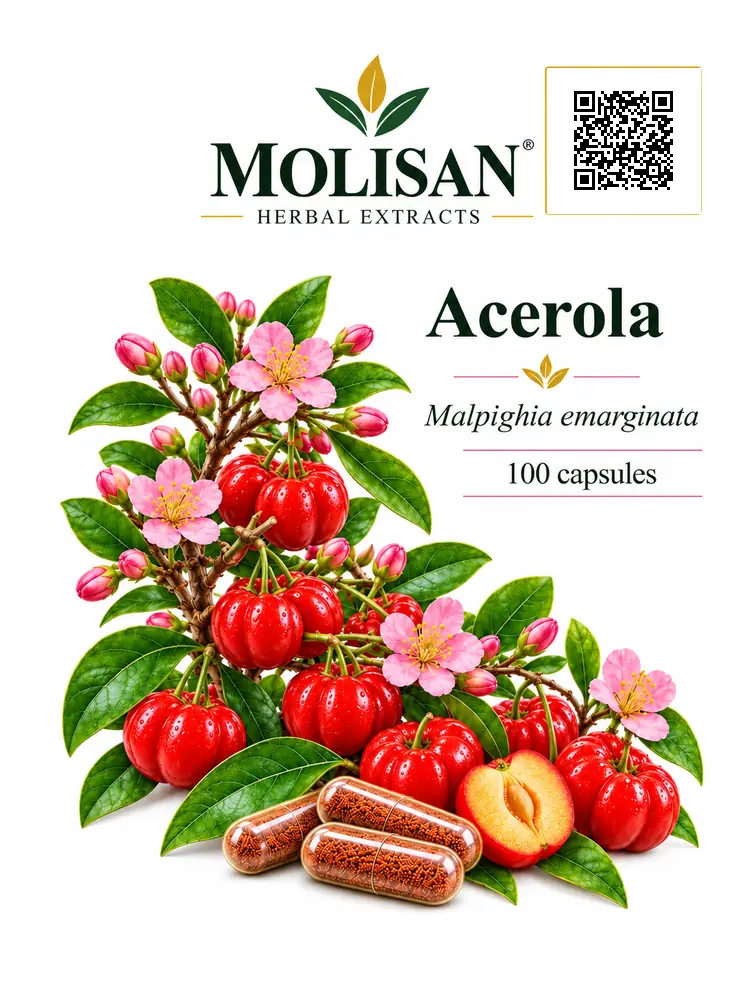 Ацерола