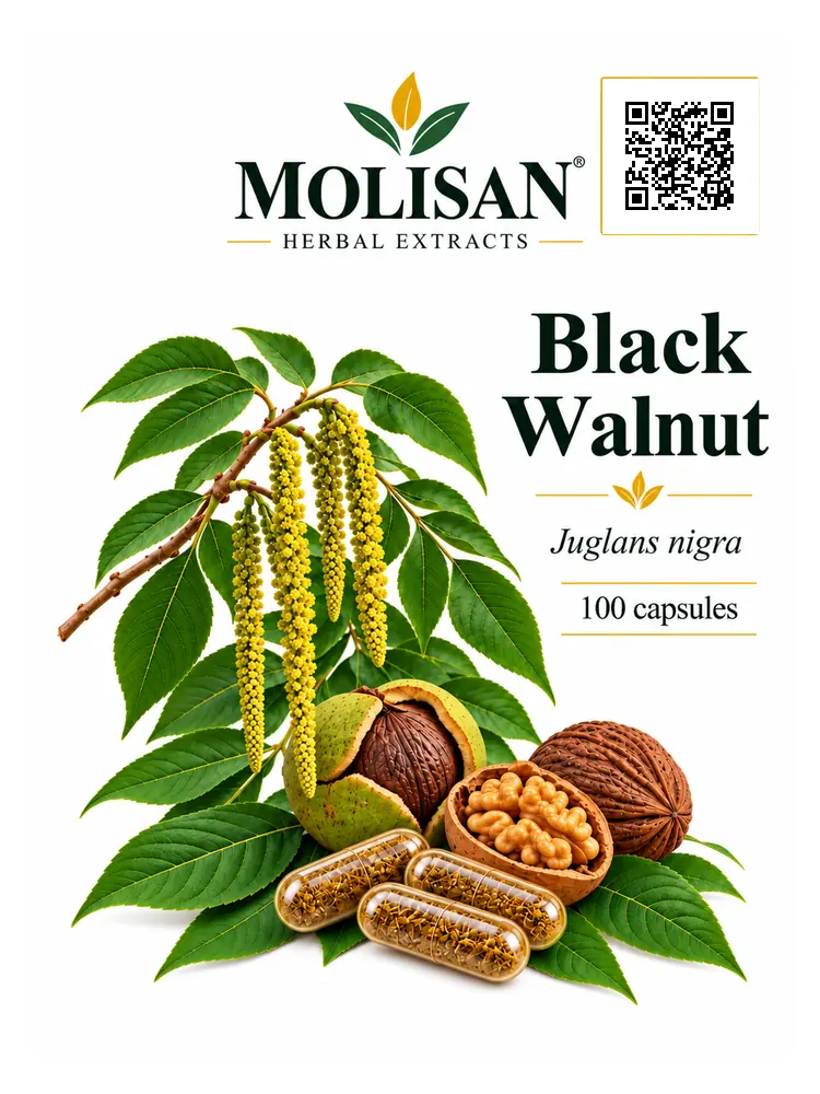 Чёрный орех