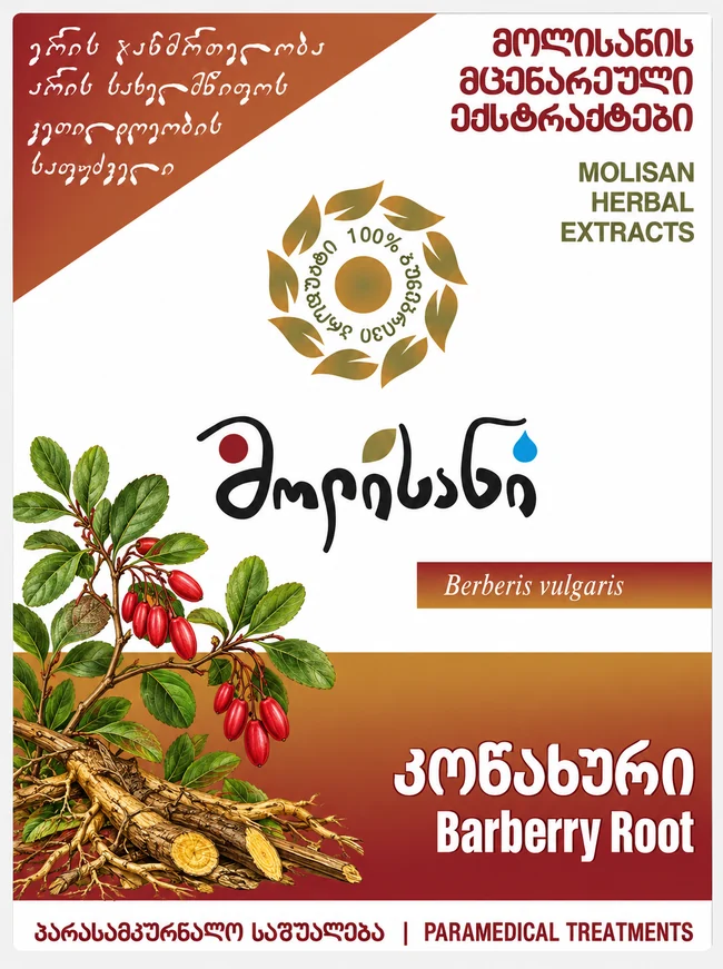 Barberry Root