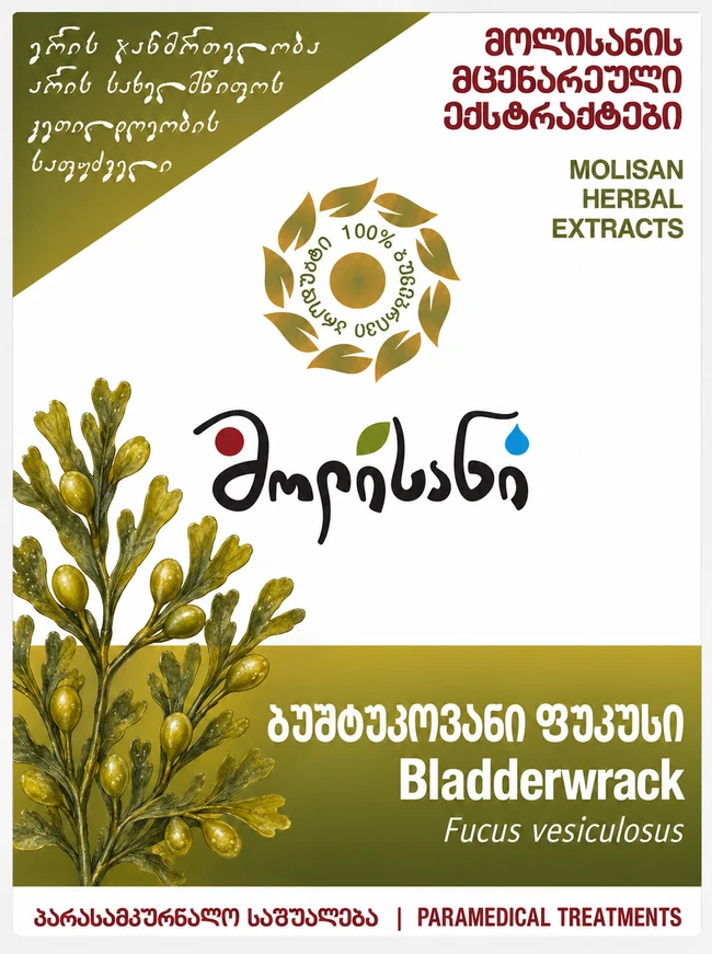 Bladderwrack