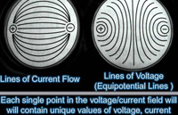 Lines of Current and Field of Voltage